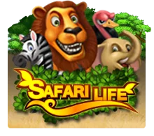 Safari Life - GECKO158