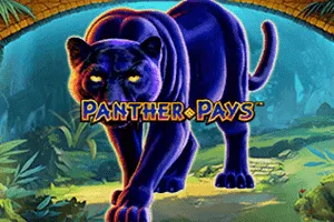 Playtech : Panther Pays - GECKO158