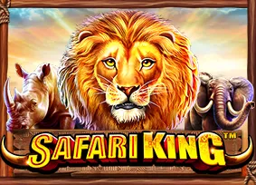 Safari King - GECKO158