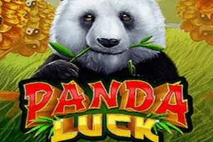 Playtech : Panda Luck - GECKO158