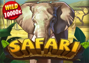 AFB : Safari - GECKO158